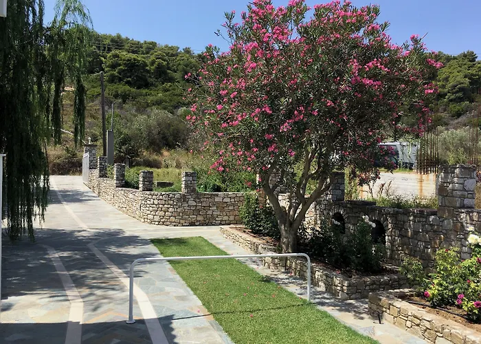 Adult Only - Suzanna