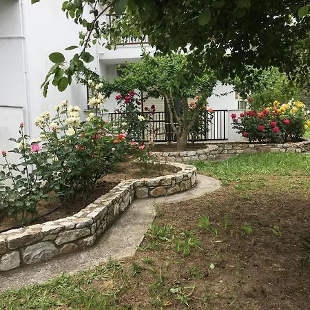 Adult Only - Suzanna 2* Achladies (Skiathos)