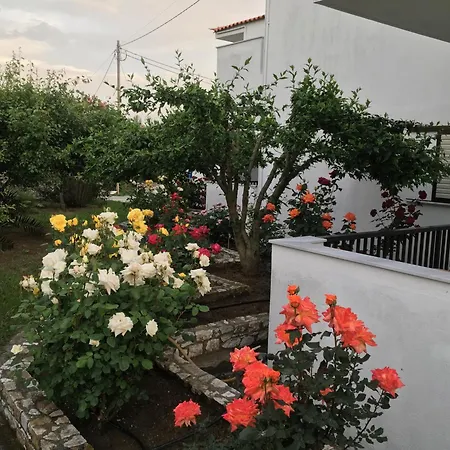 Adult Only - Suzanna Apart Otel Achladies (Skiathos)