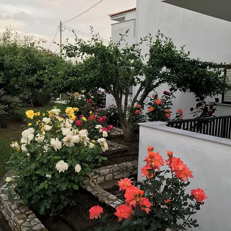 Adult Only - Suzanna شقة فندقية Achladies (Skiathos)