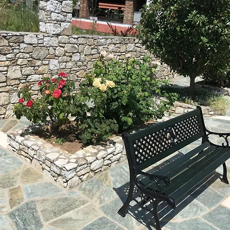 Adult Only - Suzanna